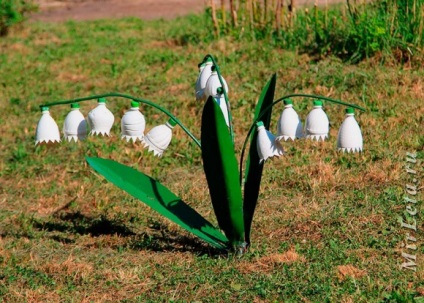 grădina școlii (fotografie grădina școlii) grădină școală