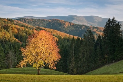 Pădurea Neagră sau „pădurea neagră“ germaniul, minunile naturii (Padurea Neagra) Pădurea Neagră sau „pădurea neagră“ de germaniu, minuni ale naturii