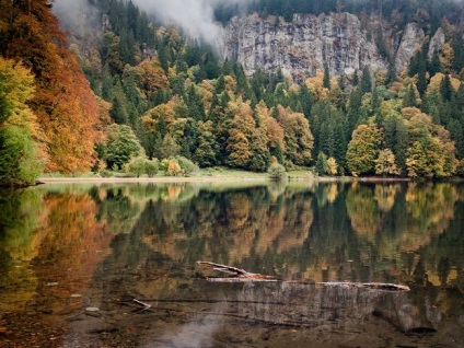 Pădurea Neagră sau „pădurea neagră“ germaniul, minunile naturii (Schwarzwald foto) Pădurea Neagră sau „pădurea neagră“ de germaniu, minuni ale naturii