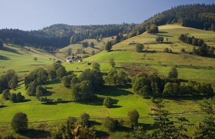 Pădurea Neagră sau „pădurea neagră“ germaniul, minunile naturii (Schwarzwald foto) Pădurea Neagră sau „pădurea neagră“ de germaniu, minuni ale naturii