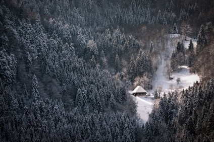Pădurea Neagră sau „pădurea neagră“ germaniul, minunile naturii (natura) Pădurea Neagră sau „pădurea neagră“ de germaniu, minuni ale naturii