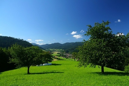 Pădurea Neagră sau „pădurea neagră“ germaniul, minunile naturii (Germania) Pădurea Neagră sau „pădurea neagră“ de germaniu, minuni ale naturii