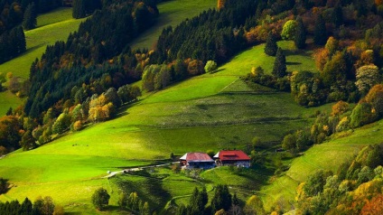 Pădurea Neagră (Schwarzwald) din Germania fotografii, descriere carte de pădure negru, ce să vezi (Germania) Pădurea Neagră (Schwarzwald) din Germania fotografii, descriere negru carte de pădure, ce să vezi