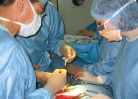 Simptomele și tratamentul herniilor inghinale prin (hernia acest caz) Simptomele și tratamentul herniei inghinale pe