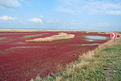 noroi siwash - Lacul siwash (murdărie) Siwash noroi - lac siwash