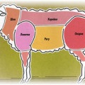 Cum de a găti carnea diferitelor animale, până când fierte complet (diferite) Cum de a găti carnea diferitelor animale până când fierte complet