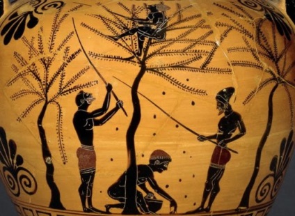 Cuvântul vine de la dieta (dieta) Dieta Cuvântul vine din