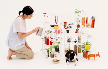 Locul Dog ca detaliu al designului interior „arhitectura pentru câini» (arhitectura «pentru câini») (Dog) Locul Dog ca detaliu al designului interior „arhitectura pentru câini» (arhitectura «pentru câini»)