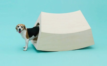 Locul Dog ca detaliu al designului interior „arhitectura pentru câini» (arhitectura «pentru câini») (locul) Locul Dog ca detaliu al designului interior „arhitectura pentru câini» (arhitectura «pentru câini»)