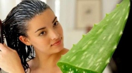eficacitatea Aloe parului de orice echipament scump (suc de aloe vera pentru utilizarea de aplicare a părului) suc de aloe vera pentru păr eficient orice instrumente scumpe