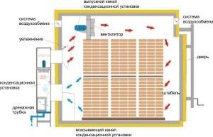 Tipul de lemn AB, A, B, C, 1, 2, 3, 4 solide, instrucțiuni pentru alegerea propriilor mâini, CTL (mâini) Tipul de lemn AB, A, B, C, 1, 2, 3, 4 solide, instrucțiuni pentru alegerea propriile lor mâini, CTL