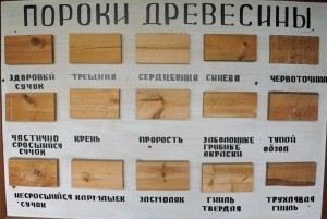 Tipul de lemn AB, A, B, C, 1, 2, 3, 4 solide, instrucțiuni pentru alegerea propriilor mâini, CTL (mâini) Tipul de lemn AB, A, B, C, 1, 2, 3, 4 solide, instrucțiuni pentru alegerea propriile lor mâini, CTL