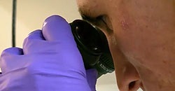 specializare medic - dermatolog, dermatolog, dermatolog-cosmetolog, nutritionist (dermatolog dermatolog tratament dermatolog cosmetolog nutriționist) specializare medic - dermatolog, dermatolog, dermatolog-cosmetolog, nutriționist