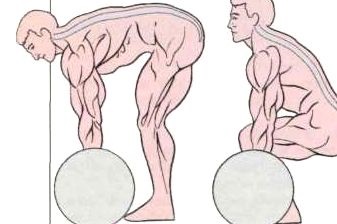 Îndreptare toate cele șapte opțiuni! (biceps coapsei fesier) Îndreptare toate cele șapte opțiuni!