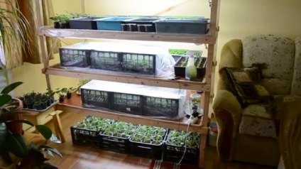 Rafturi pentru flori cu propriile sale mâini (lor) Rafturi pentru flori cu propriile sale mâini