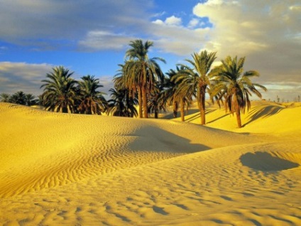 Africa de Nord și Orientul Mijlociu (de nord) Africa de Nord și Orientul Mijlociu