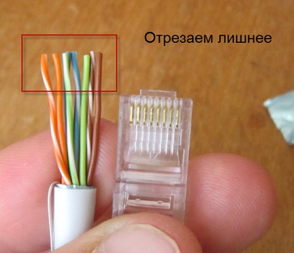 Schema crimp torsadat (schema) Schema creț torsadat