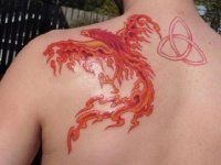 Phoenix tatuaj - 50 Imagine (Phoenix) Phoenix Tattoo - Foto 50
