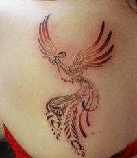 Phoenix Tattoo - Foto 50 (tatuaj) Phoenix Tattoo - Foto 50