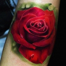 birds Tattoo (păsări) tatuaj păsări