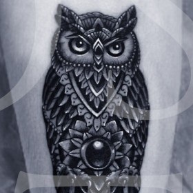birds Tattoo (păsări) tatuaj păsări