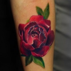 birds Tattoo (păsări) tatuaj păsări