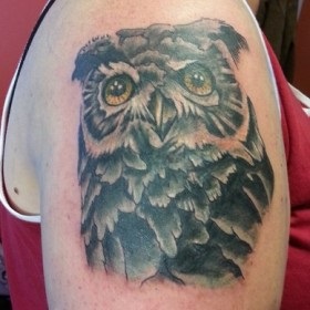 birds Tattoo (păsări) tatuaj păsări