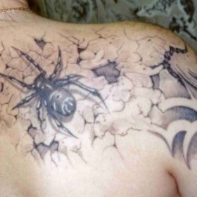 păsări de tatuaje (bufnita tatuaj Man) tatuaj păsări