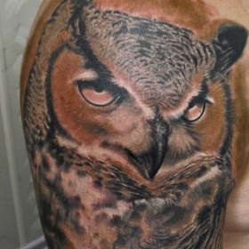 birds Tattoo (păsări) tatuaj păsări