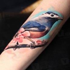 păsări de tatuaje (Man Owl Tattoo) tatuaj păsări