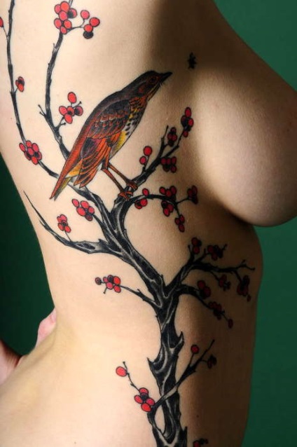 Bird tatuaj - valoarea de stiluri de expresie de păsări mici - tatuaj azi (schigliki) Bird tatuaj - valoarea de stiluri de expresie de păsări mici - tatuaj astăzi