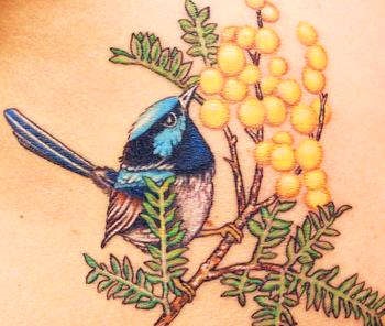 Bird tatuaj - valoarea de stiluri de expresie de păsări mici - tatuaj astăzi (tribal) Bird tatuaj - valoarea de stiluri de expresie de păsări mici - tatuaj astăzi