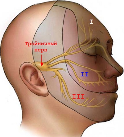 Tendinită ce este cauzele, simptomele, tratamentul tendinitei remedii populare (cauza) Tendinită ce este cauzele, simptomele, tratamentul tendinită remedii populare