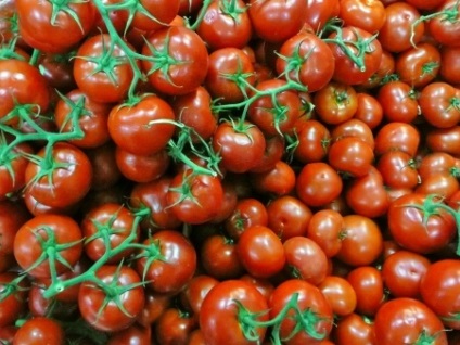 Tomate Descrierea și caracterizarea Dubrava, reproducere, îngrijire și foto (tomate) Descrierea și caracterizarea de tomate Dubrava, de reproducere, de îngrijire și fotografie