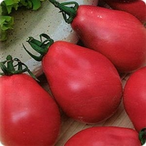 soiuri de tomate de descriere cidru, caracteristici și recenzii