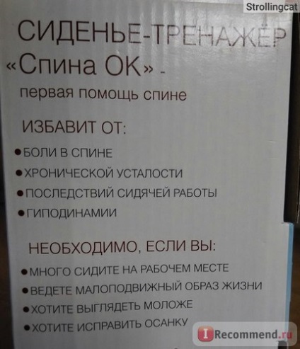 Argoul simulator simulator de scaun din spate ok (Tolstunov antrenor, Dr. chiparos, postura corectorului (simulator scaun) Argoul simulator simulator de scaun din spate ok (Tolstunov antrenor, Dr. chiparos, postura corectorului