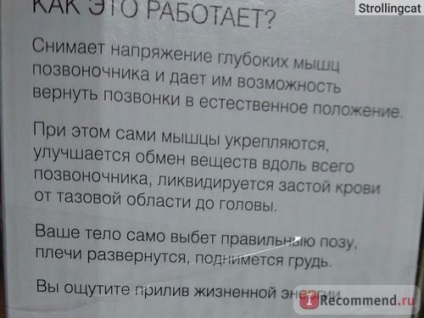 Argoul simulator simulator de scaun din spate ok (simulator de Tolstunov Dr. chiparos, postura corectorului (simulator) Argoul simulator simulator de scaun din spate ok (Tolstunov antrenor, Dr. chiparos, postura corectorului