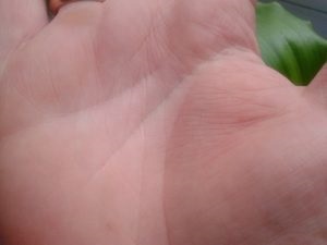 Triunghiul pe linia vieții (sfârșitul liniei de viață) Triunghiul pe linia de viață