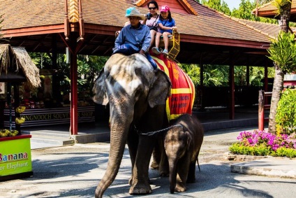 Nong Nooch Tropical Garden (Nong Nooch parc) Nong Nooch Tropical Garden