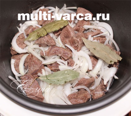 vită fiert cu ceapa în multivarka (ceapă) carne de vită fiert cu ceapa în multivarka