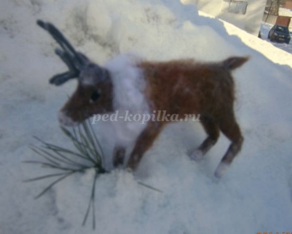 Împâslitură de închizător lână (lână) Împâslire câine lână
