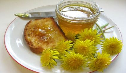 Jam păpădie (Taraxacum) Blocaj de păpădia