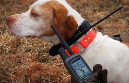 Alegerea unui plotter grafic cu sonar adancime - site-ul de pescuit - Baubles - - totul despre pescuit (vnbspodin) Alegerea unui plotter grafic cu sonar adancime - site-ul de pescuit - Baubles - - totul despre pescuit