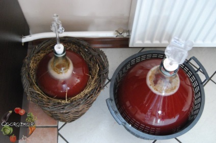 Vin de căpșuni în casa - rețetă (condiții) Vin de căpșuni în casa - reteta