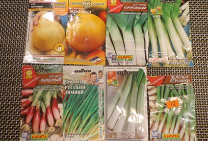 Ceapa praz în creștere în zonele cu climă rece (praz) Cultivarea prazul în zonele cu climă rece
