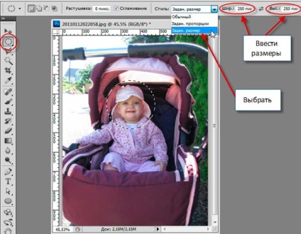 Se taie un cerc cu un diametru dat de imagini (diametru predeterminat) Se taie un cerc cu un diametru dat din fotografie