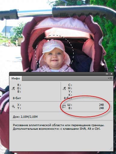 Se taie un cerc cu un diametru dat de imagini (predeterminate) Se taie un cerc cu un diametru dat din fotografie