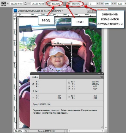 Se taie un cerc cu un diametru dat de imagini (diametru) Se taie un cerc cu un diametru dat din fotografie