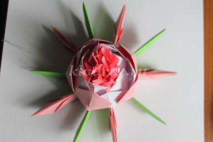 Eedmace în Origami artă (opțional) Eedmace origami arta