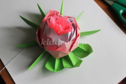 Eedmace în Origami arta (master) Eedmace origami arta